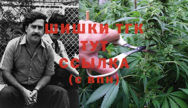 прущий лед Алексеевка