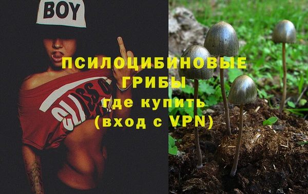 Альфа ПВП Абаза