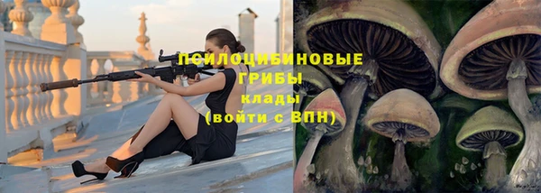 прущий лед Алексеевка