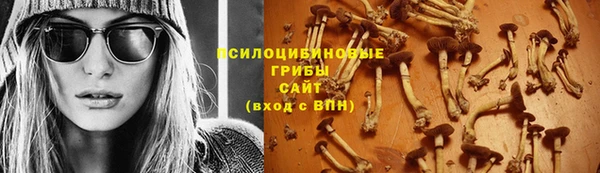 прущий лед Алексеевка