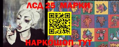 прущие грибы Усть-Джегута