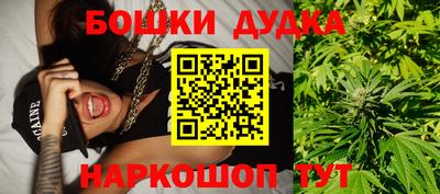 прущие грибы Усть-Джегута