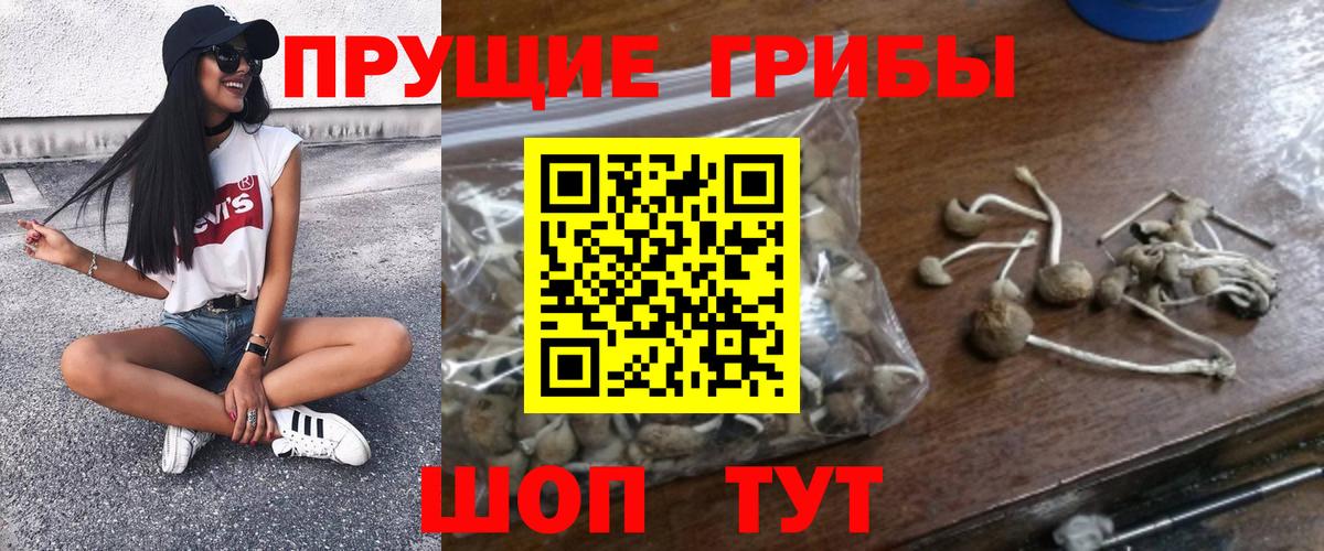 Галлюциногенные грибы прущие грибы Соликамск